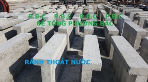 Rãnh chữ u