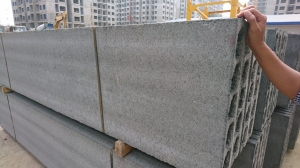 Đặc điểm kỹ thuật của Tấm tường bê tông Acotec