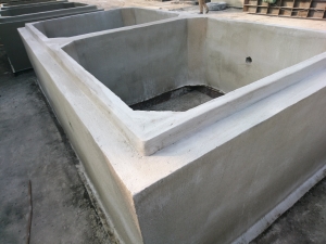 Cống hộp đôi